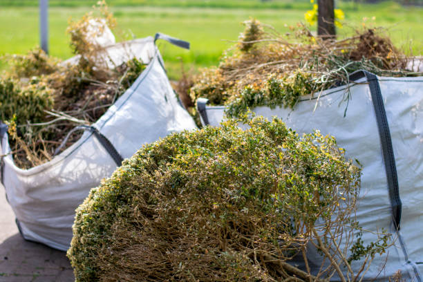 Property Management Cleanouts in Pasadena Hills, FL
